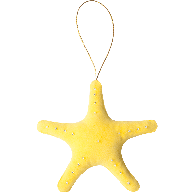 Starfish 6/pk
